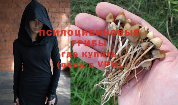 дмт Алексеевка