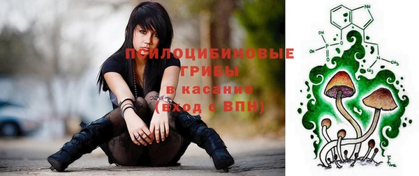 spice Алзамай