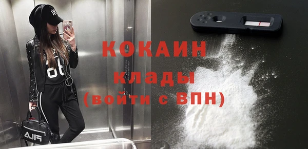 spice Алзамай