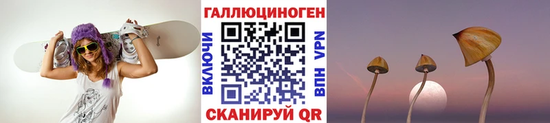 где продают   Оханск  Галлюциногенные грибы мухоморы 